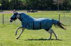 HKM Fliegendecke mit Halsteil -Zebra Aqua-