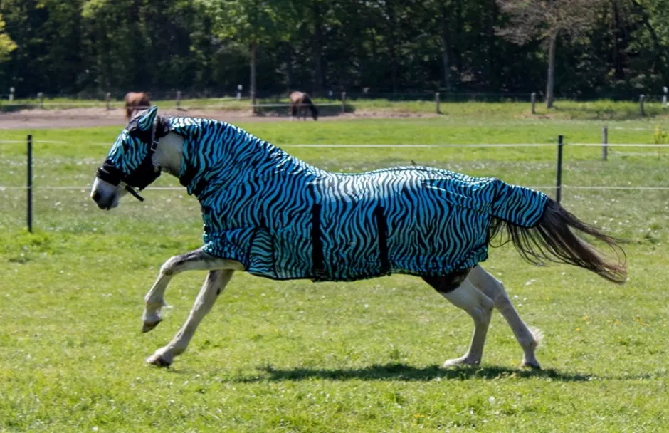 HKM Fliegendecke mit Halsteil -Zebra Aqua-