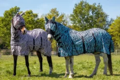 HKM Fliegendecke mit Halsteil -Zebra Aqua-
