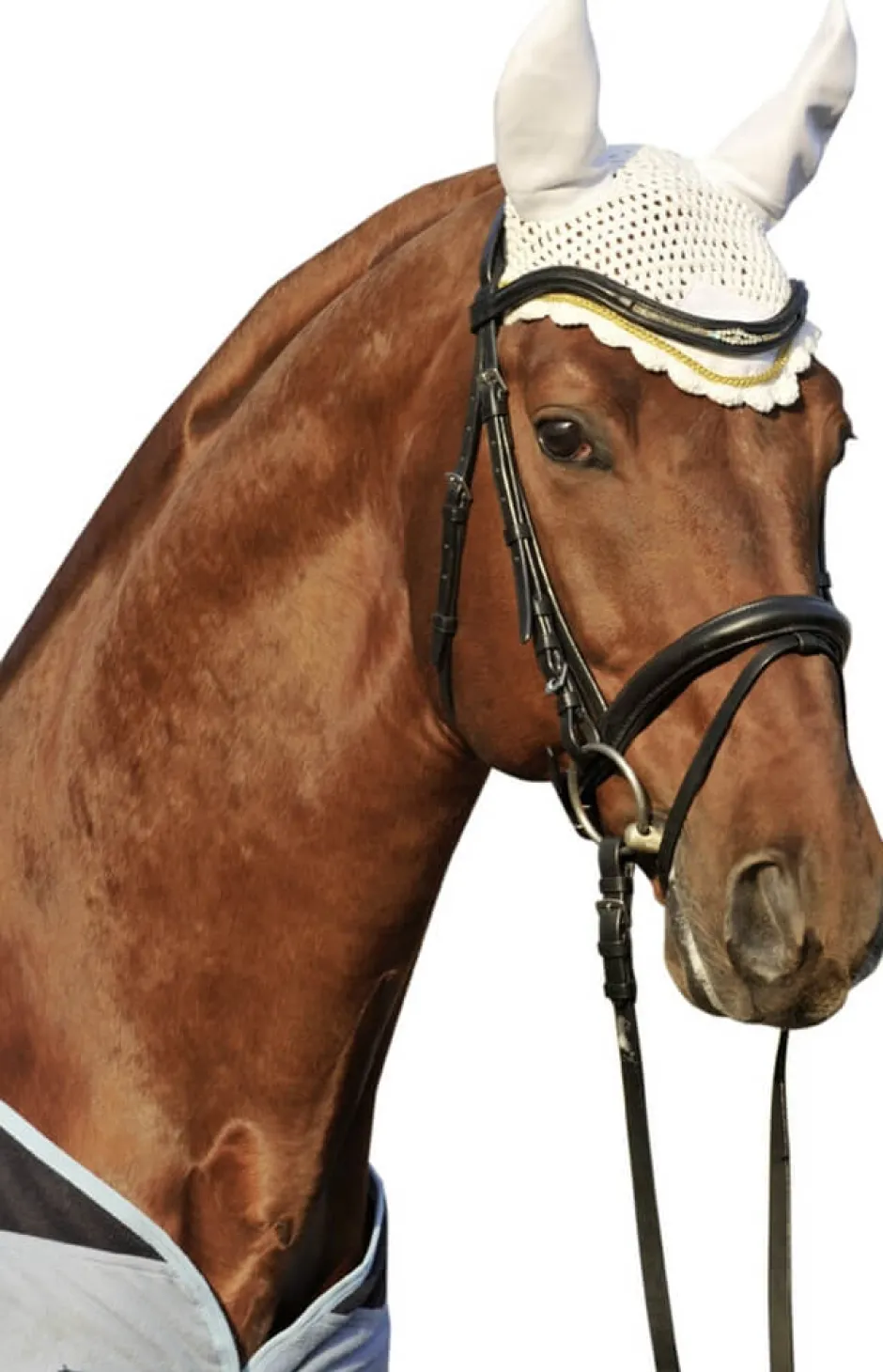 HKM Fliegenhaube
