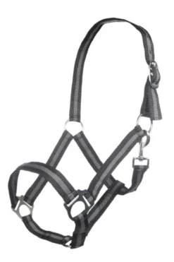 HKM Halfter -Budapest-