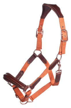 HKM Halfter -Edinburgh-