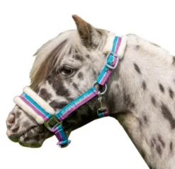 HKM Halfter -Funny Horses-