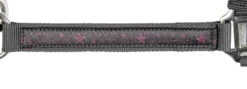HKM Halfter mit Strick 180 cm und Karabiner -Sternchen-