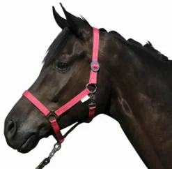 HKM Halfter -Stars Economy-