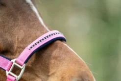 HKM Halfter + Strick-Set -Crystal- weich unterlegt