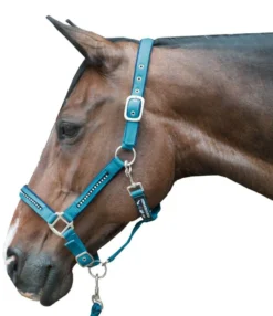 HKM Halfter + Strick-Set -Crystal- weich unterlegt