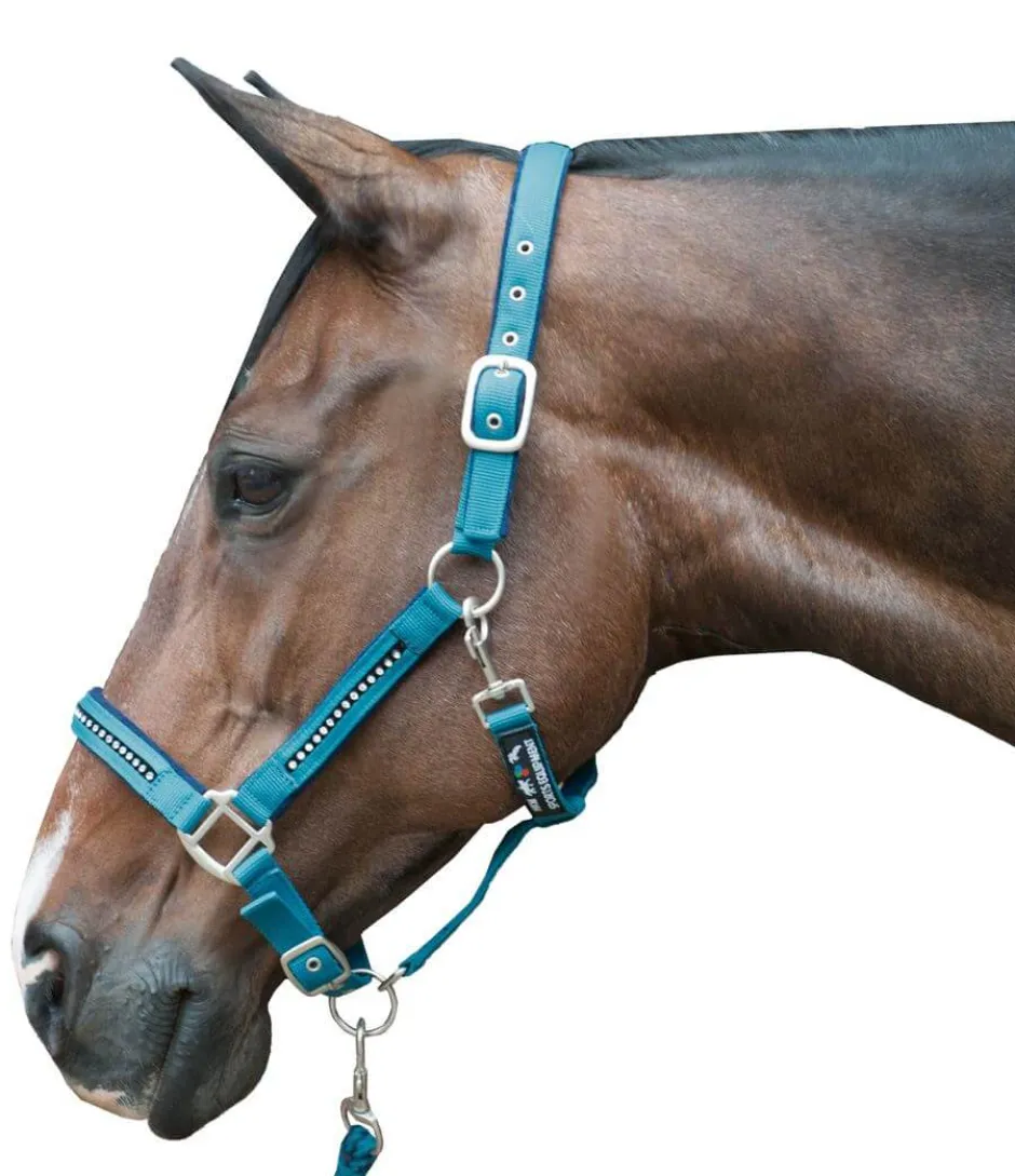 HKM Halfter + Strick-Set -Crystal- weich unterlegt