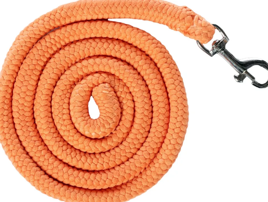 HKM Halfter und Strick -Hobby Horsing Basic-