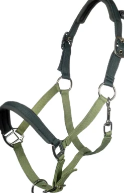 HKM Kids Halfter -Barnie-
