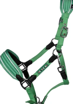 HKM KIDS Halfter -Maui- für Shettys