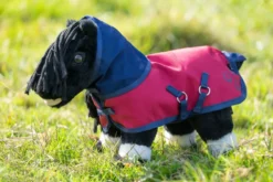 HKM Kids Outdoordecke -Cuddle Pony-