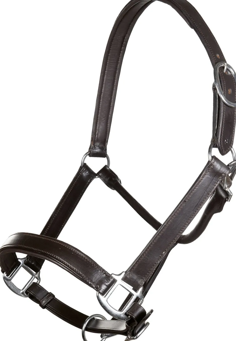 HKM Lederhalfter -Economic-