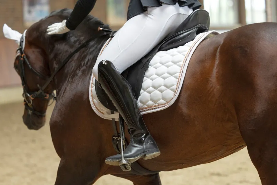 HKM Reitleggings -Lisa- Silikon-Vollbesatz