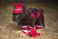 HKM Reitset Starter -Cuddle Pony-