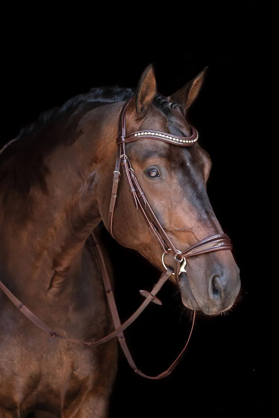 HKM Trense -Carolin-