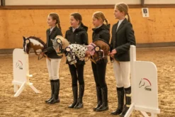 HKM Turnierschleife -Hobby Horsing-