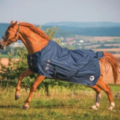 HorSeven Regendecke