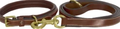 HV POLO Hundehalsband HVPLegacy