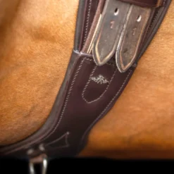 HV POLO Dressurgurt HVPLegacy