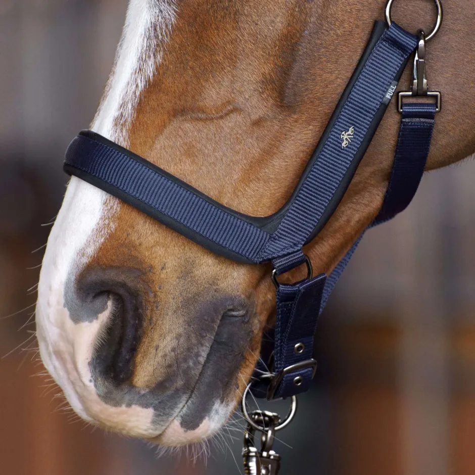 HV POLO Halfter HVPEssential