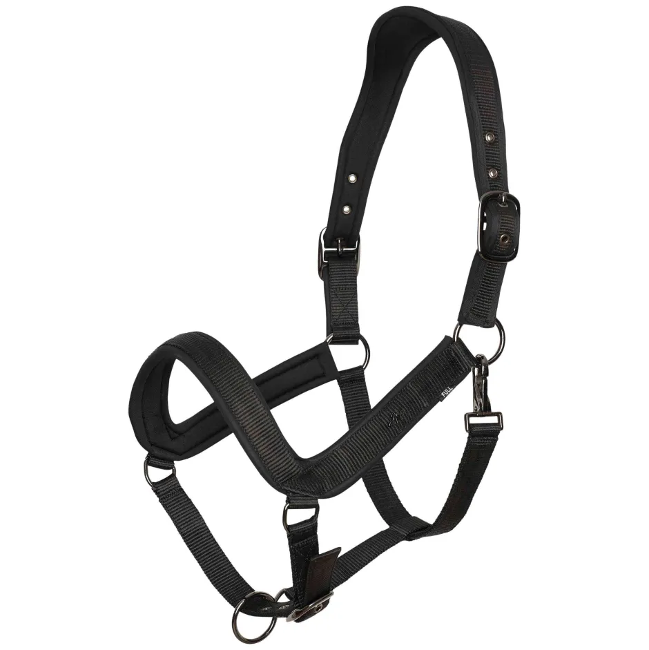 HV POLO Halfter HVPEssential