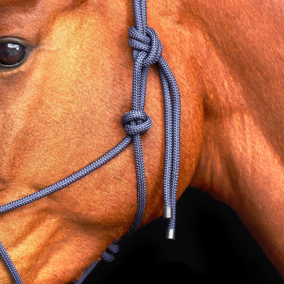 HV POLO Halfter HVPLamu