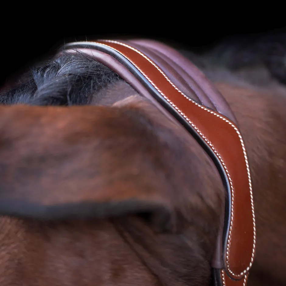 HV POLO Halfter HVPLegacy