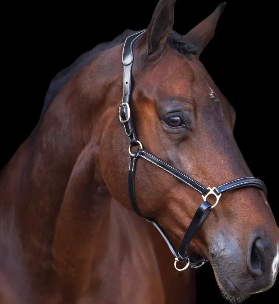 HV POLO Halfter HVPLegacy