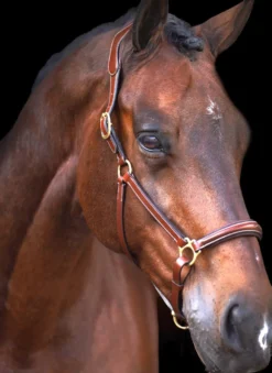 HV POLO Halfter HVPLegacy