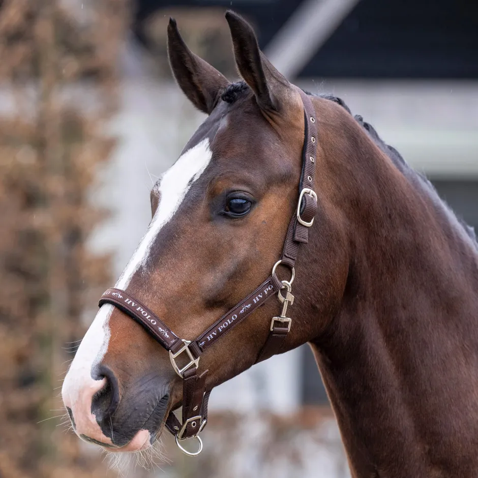 HV POLO Halfter HVPNena