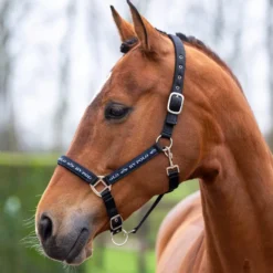 HV POLO Halfter HVPNena