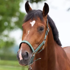 HV POLO Halfter HVPNena
