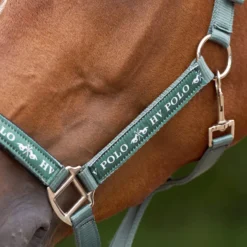 HV POLO Halfter HVPNena