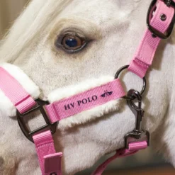 HV POLO Halfter HVPSacha