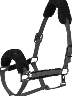 HV POLO Halfter HVPTeddy
