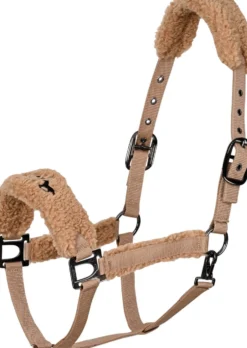 HV POLO Halfter HVPTeddy