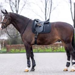 HV POLO Schabracke HVPEssential Dressur