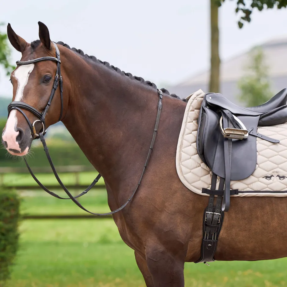 HV POLO Schabracke HVPJoan Dressur