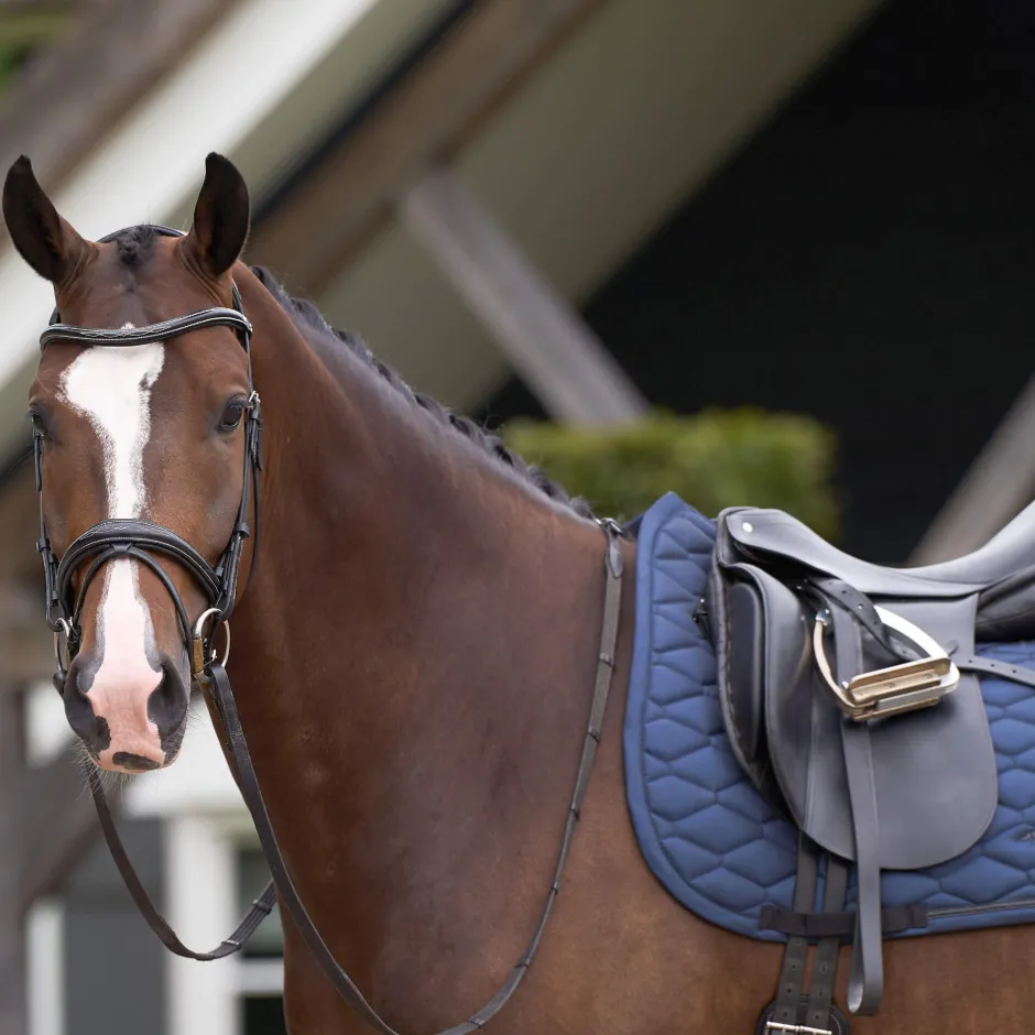 HV POLO Schabracke HVPJoan Dressur