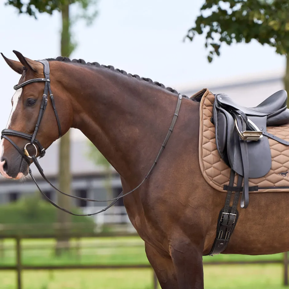HV POLO Schabracke HVPJoan Dressur