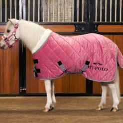 HV POLO Stalldecke HVPSacha