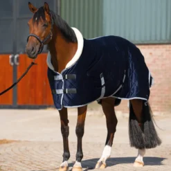 HV POLO Stalldecke HVPSacha