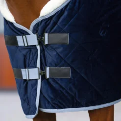 HV POLO Stalldecke HVPSacha