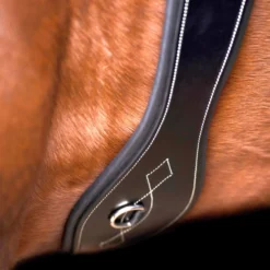 HV POLO Stollengurt HVPLegacy
