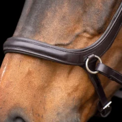 HV POLO Trense gebisslos HVPLegacy