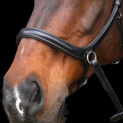 HV POLO Trense gebisslos HVPLegacy