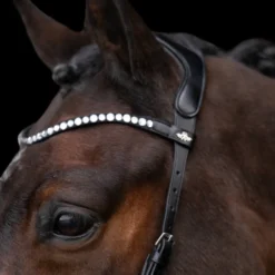 HV POLO Trense gebisslos HVPLegacy