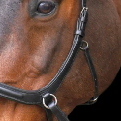 HV POLO Trense gebisslos HVPLegacy