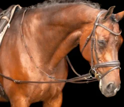 IMPERIAL RIDING Ausbinder Leder IRHCore
